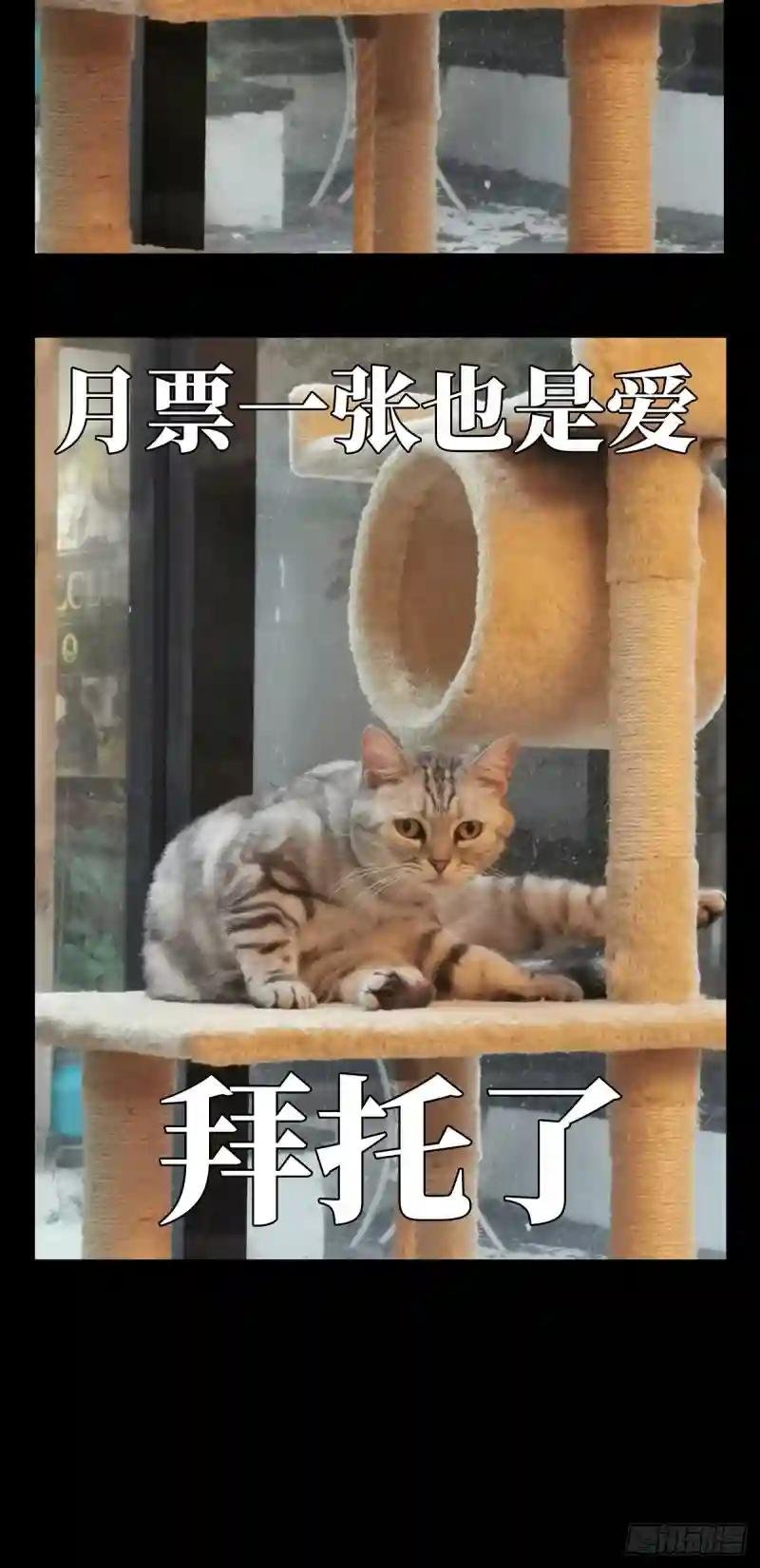 第七十五章\/真相中