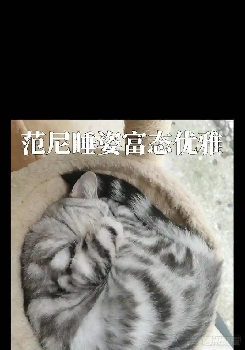 第七十八章\/同门对决中