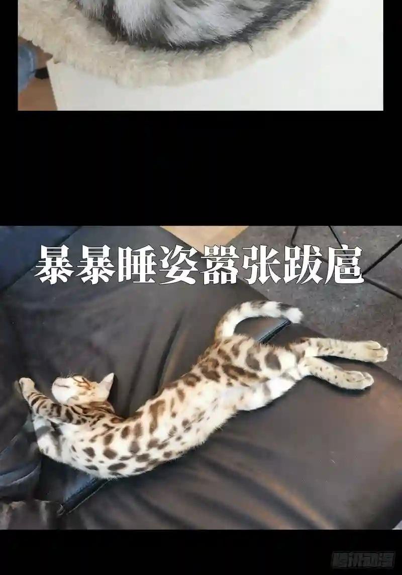 第七十八章\/同门对决中