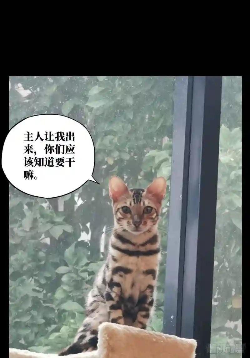 第八十章\/交易上