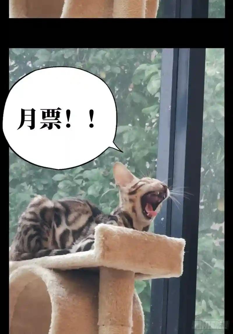 第八十章\/交易上