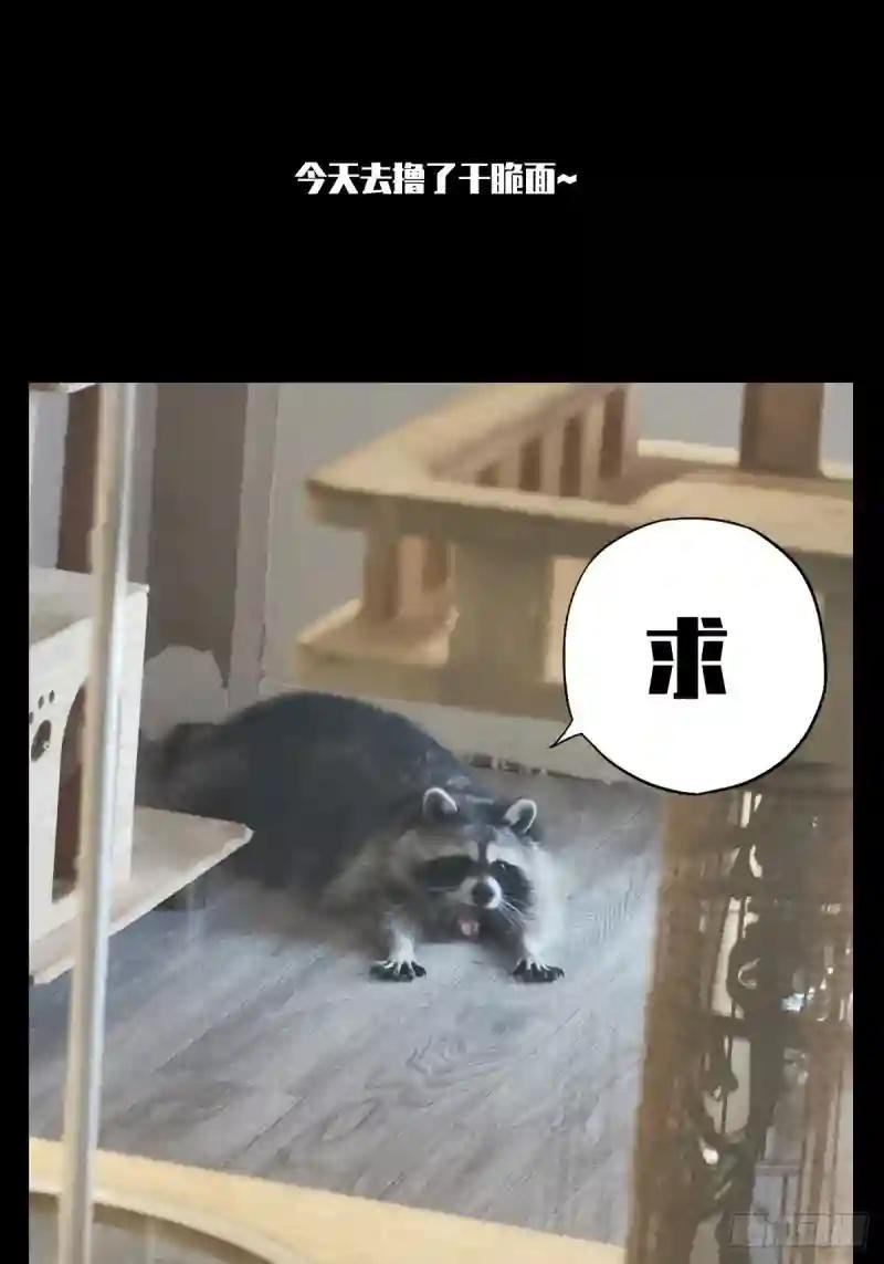 第八十五章\/神秘组织下