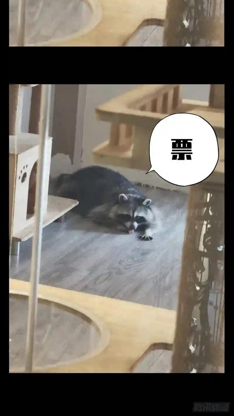 第八十五章\/神秘组织下