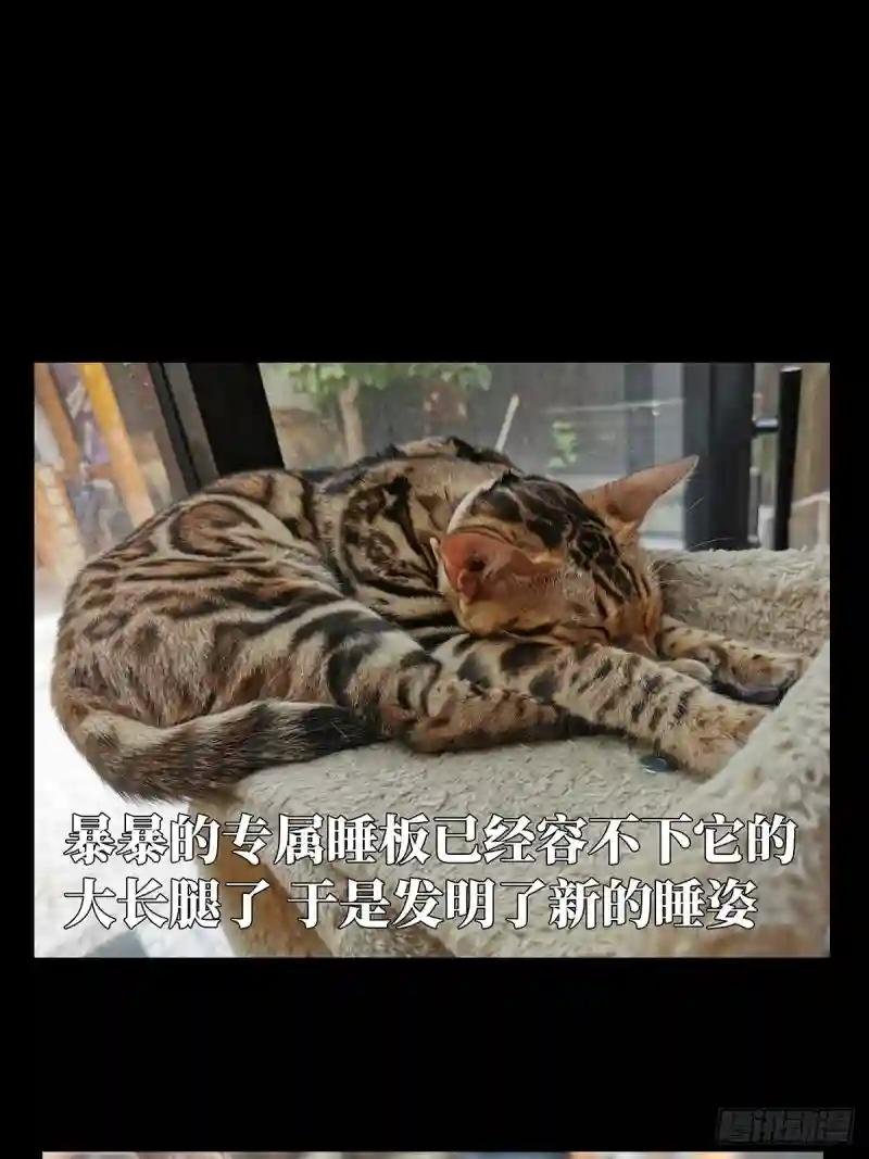 第九十章\/君上中