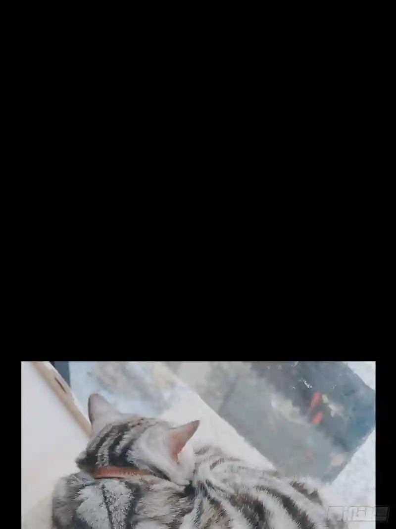 第九十五章\/灵息上