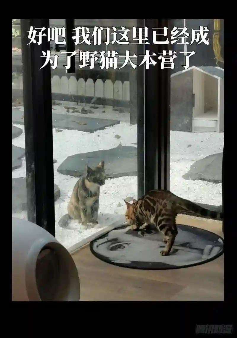 第九十七章\/灵息下