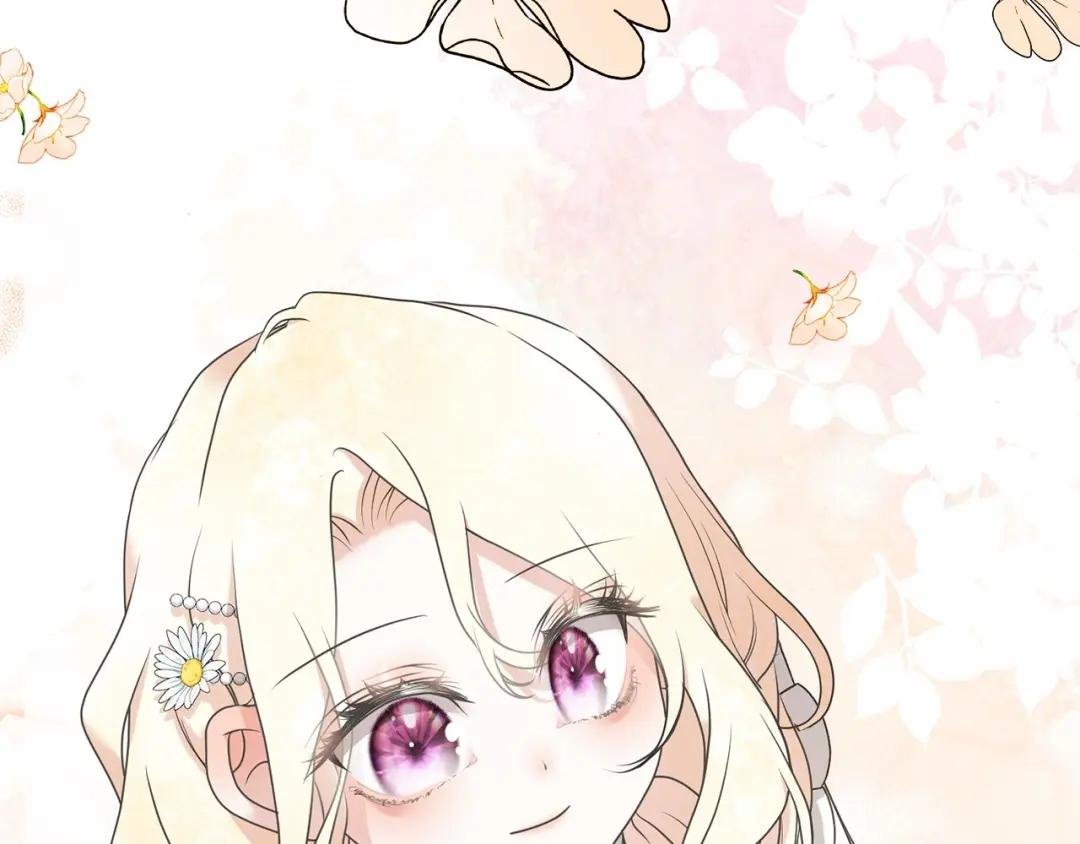 第14话 生日礼物