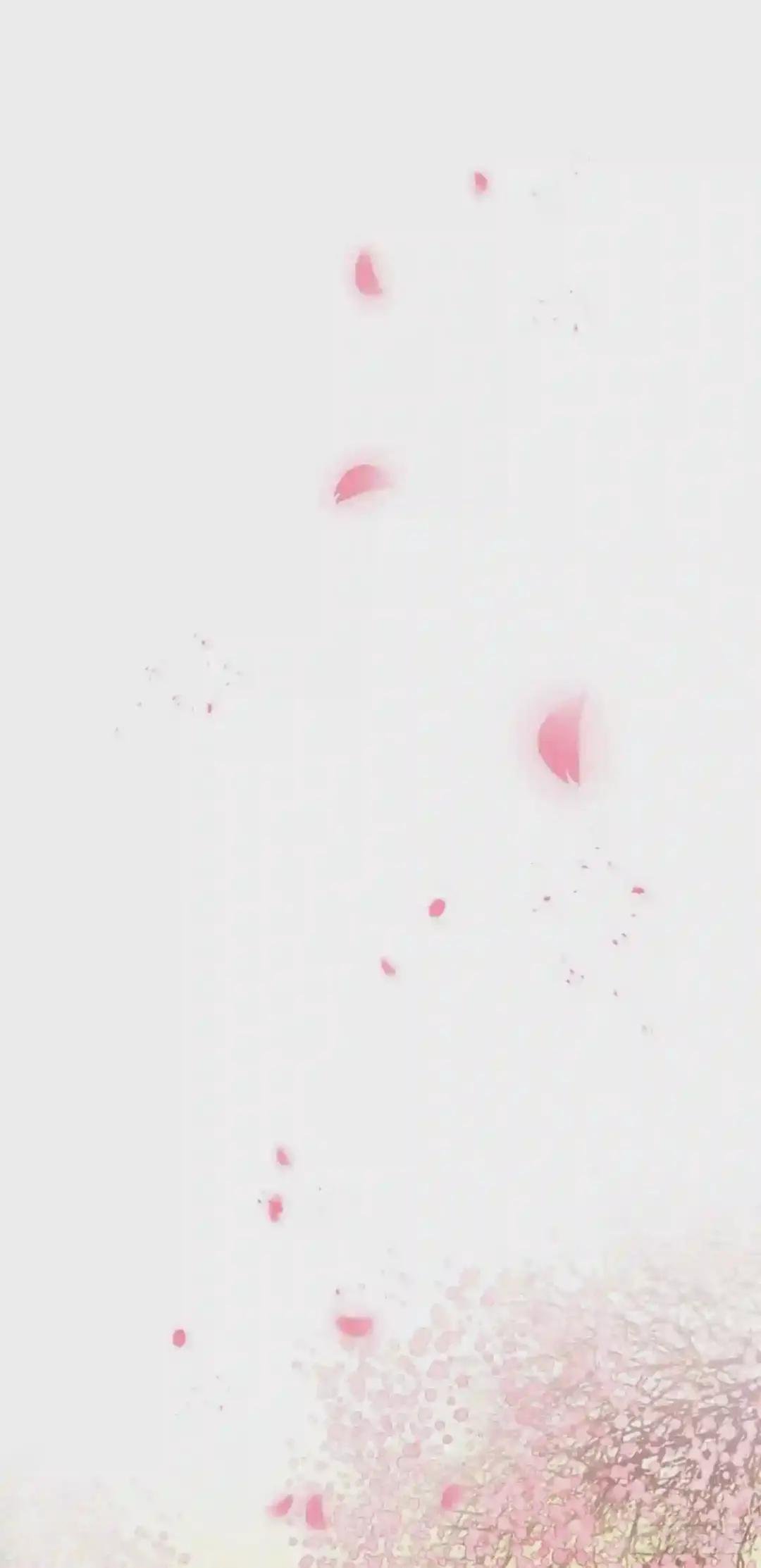 番外·跟屁虫