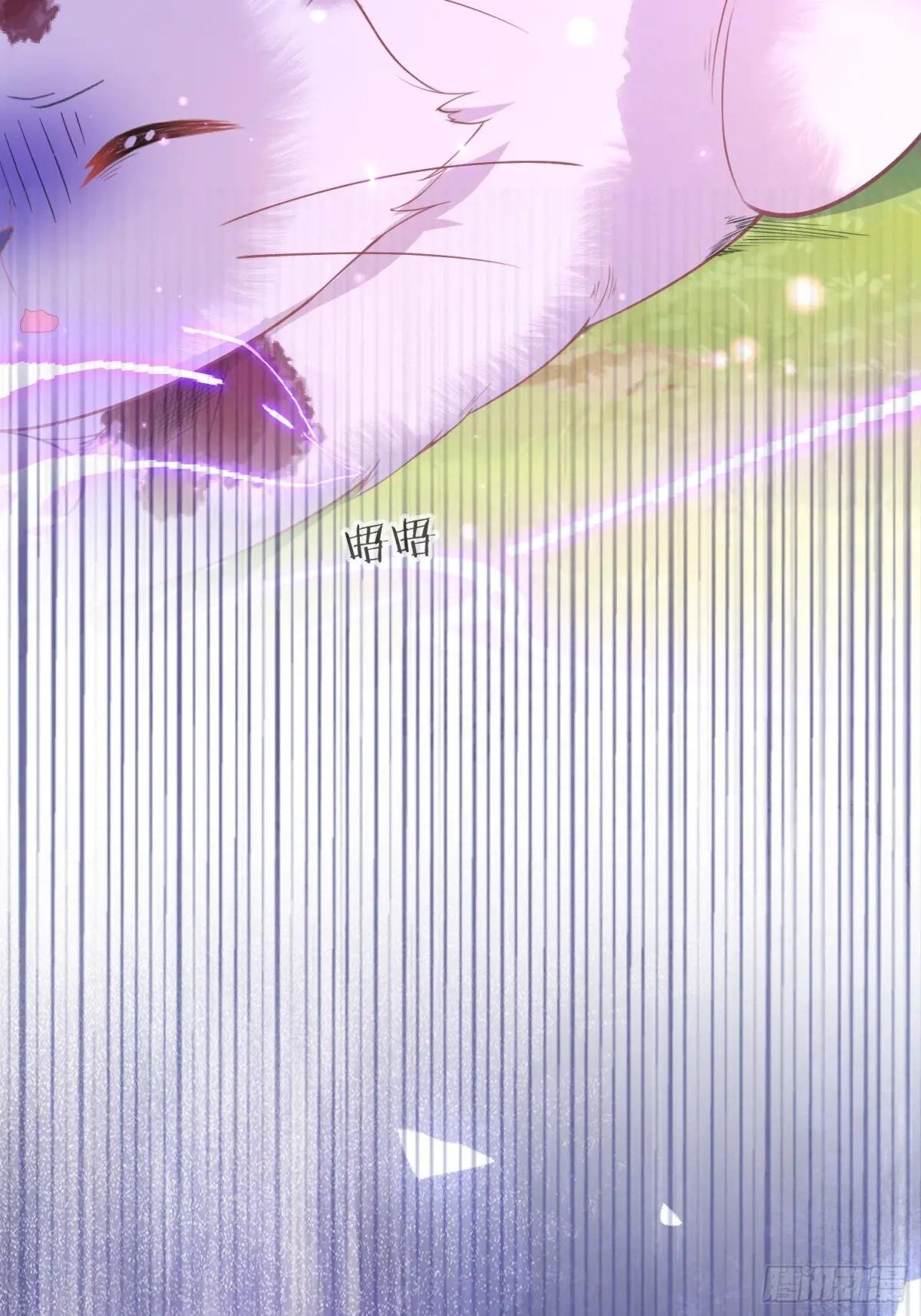 09 猫的梦境