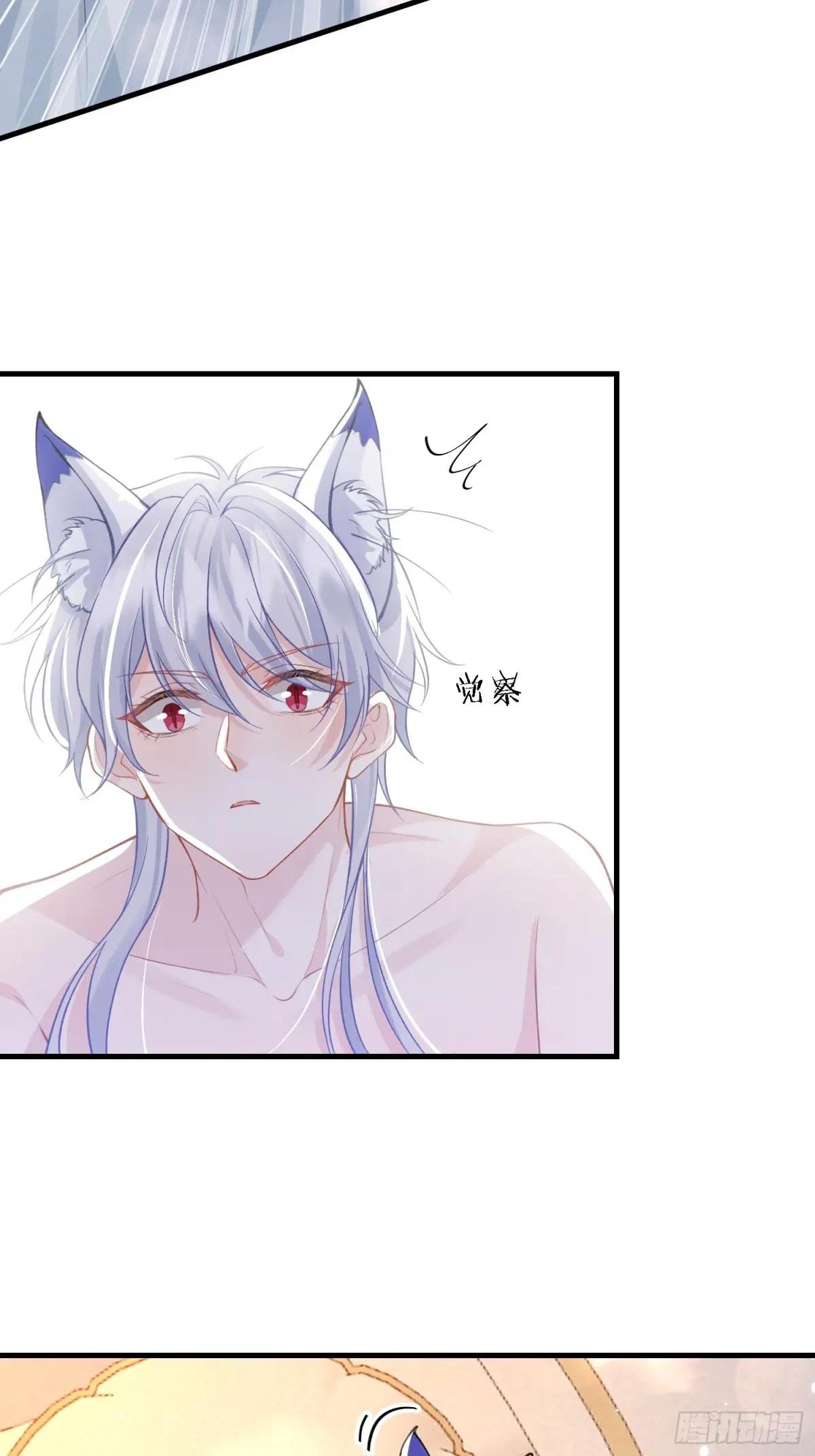 11 猫妖化人？