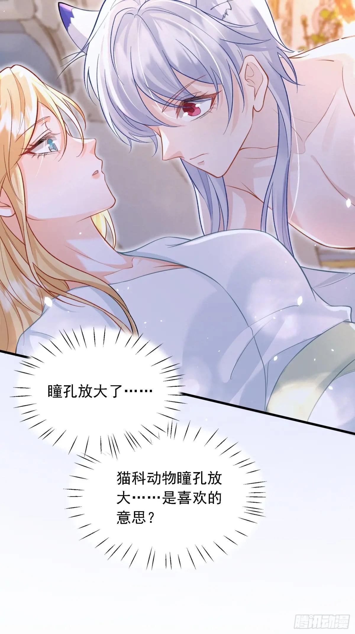 11 猫妖化人？