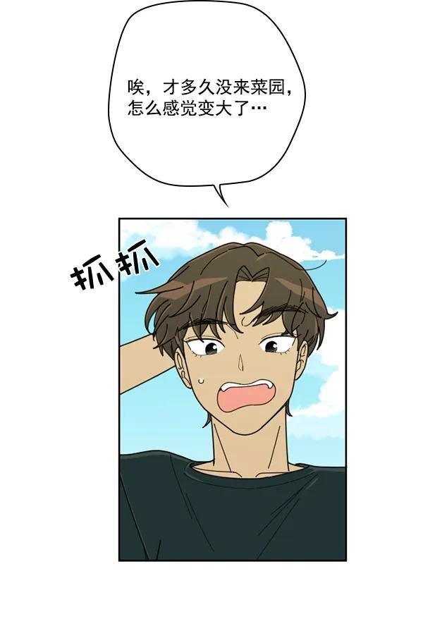 [第10话] 数秋白菜时再说放弃（1）