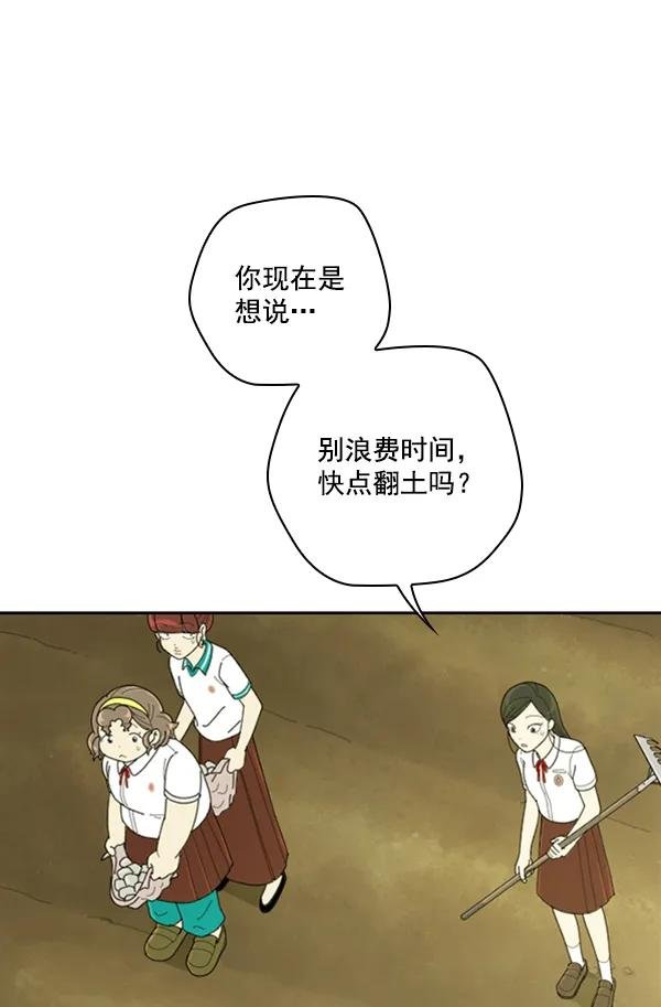 [第13话] 数秋白菜时再说放弃（4）