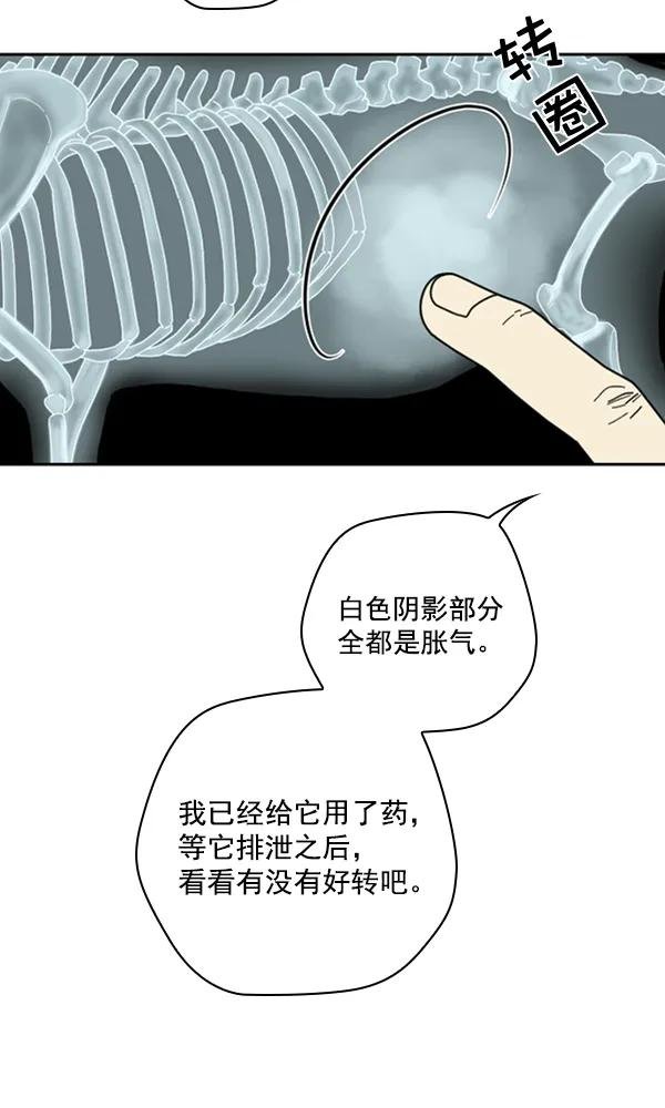 [第14话] 数秋白菜时再说放弃（5）