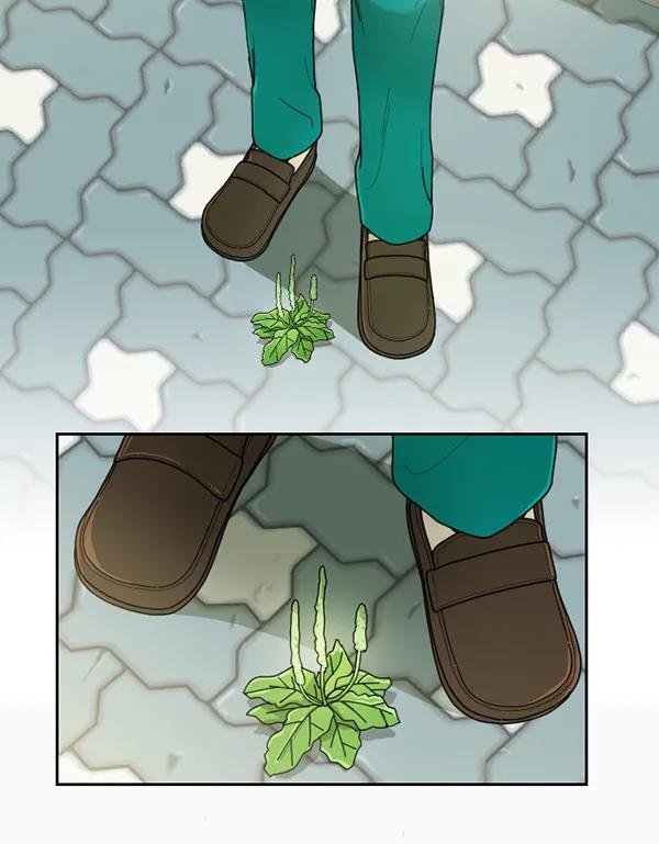 [第36话] 有人能救救生菜吗（3）