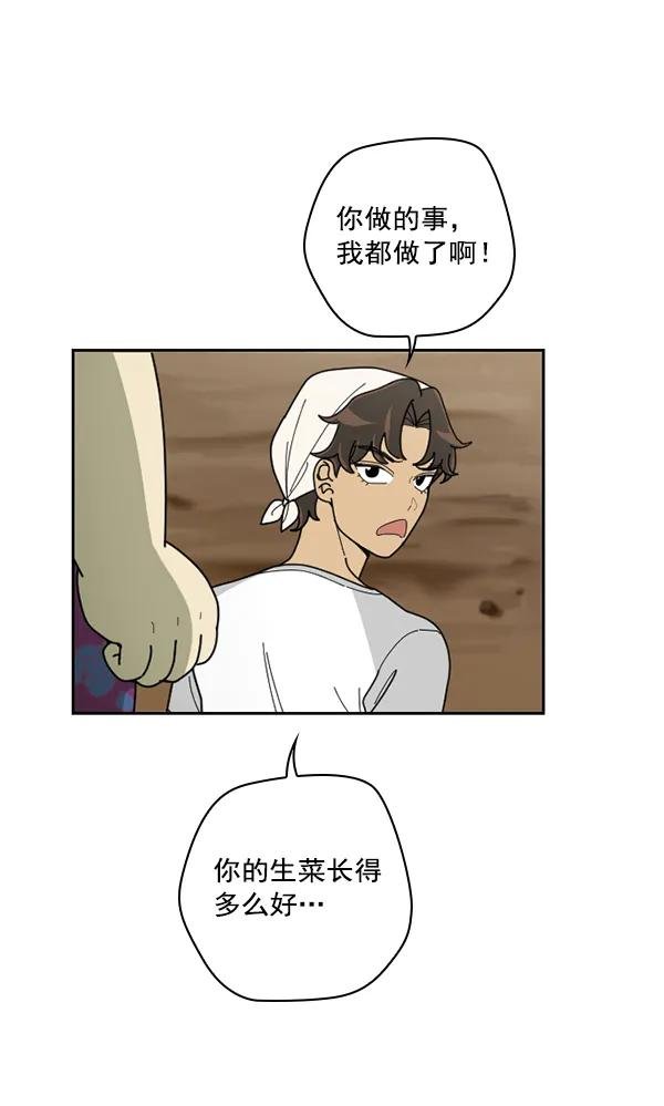 [第36话] 有人能救救生菜吗（3）