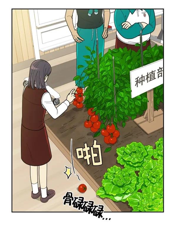 [第51话] 地瓜来了