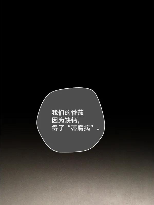 [第7话] 血滴般的番茄落下（2）