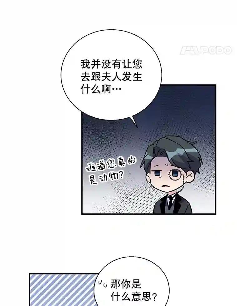 11.注文