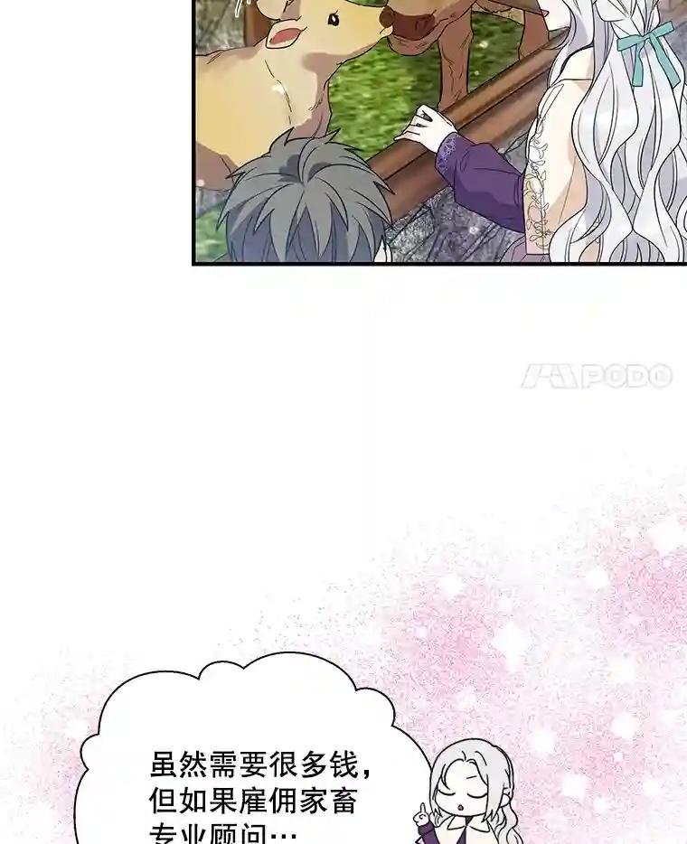 13.假发