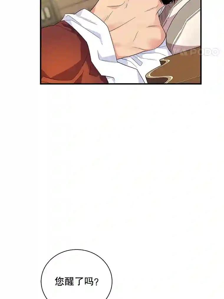 23.费奇子爵