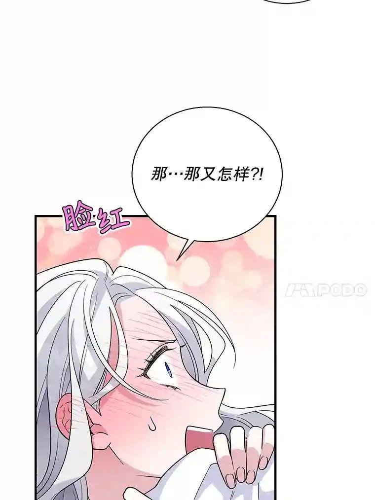 23.费奇子爵