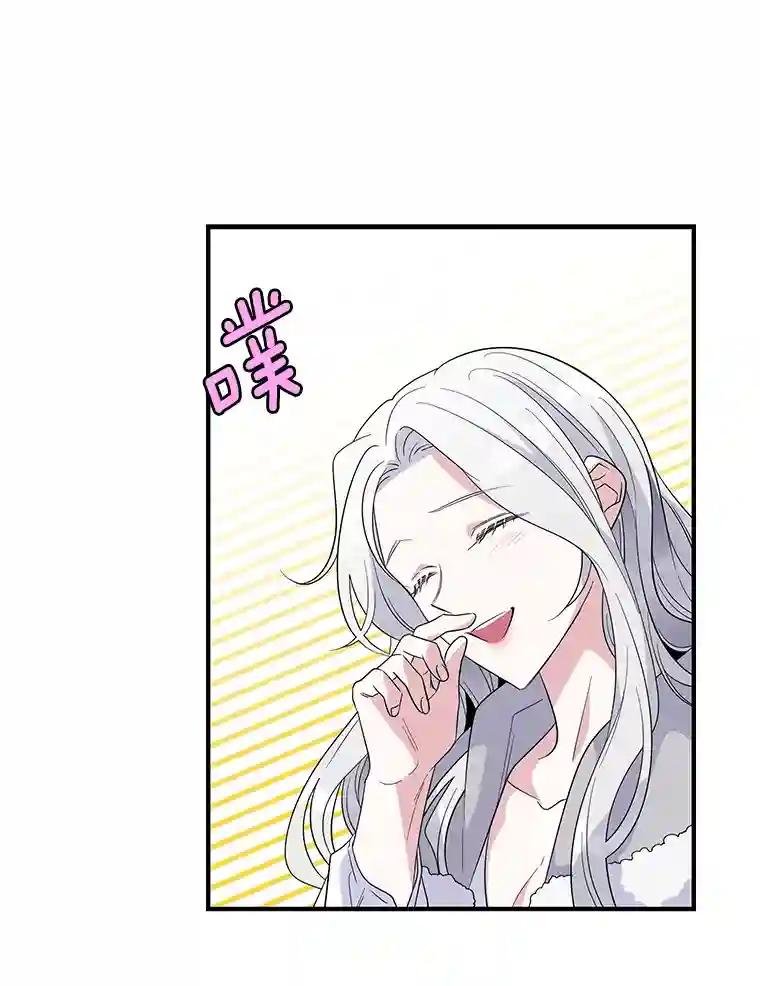 23.费奇子爵