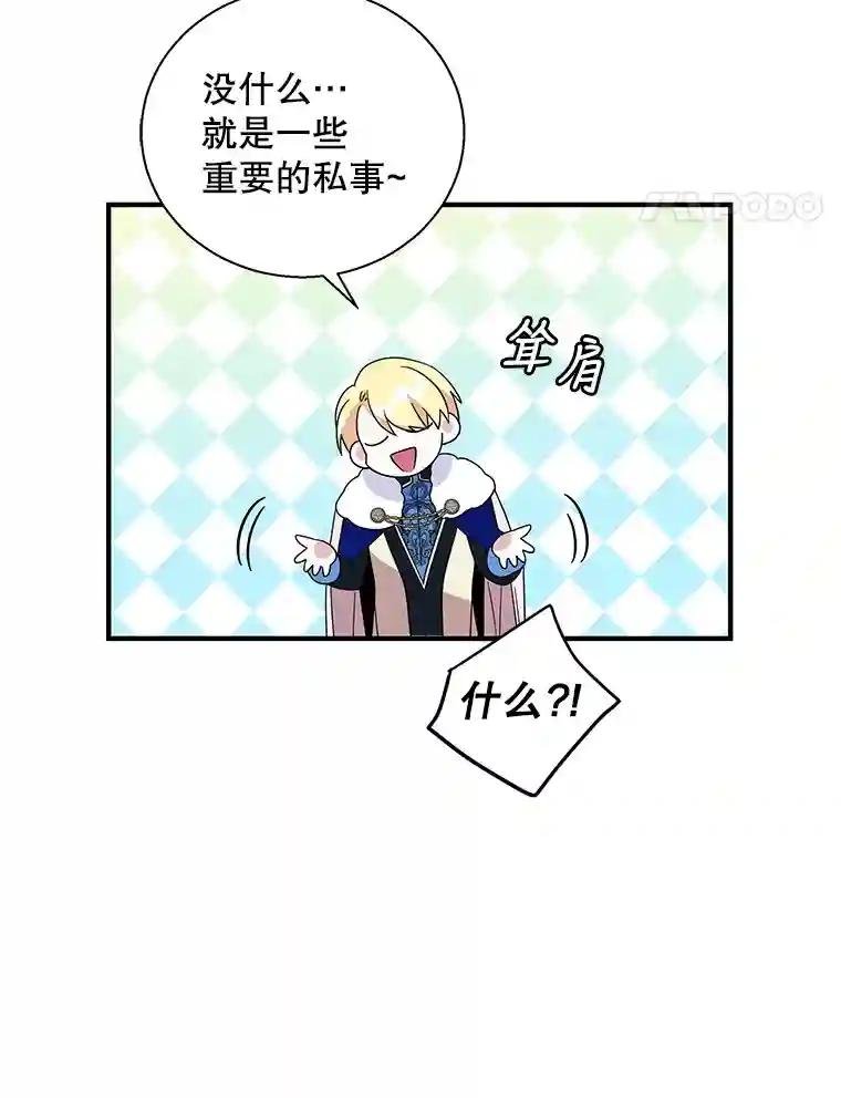 23.费奇子爵