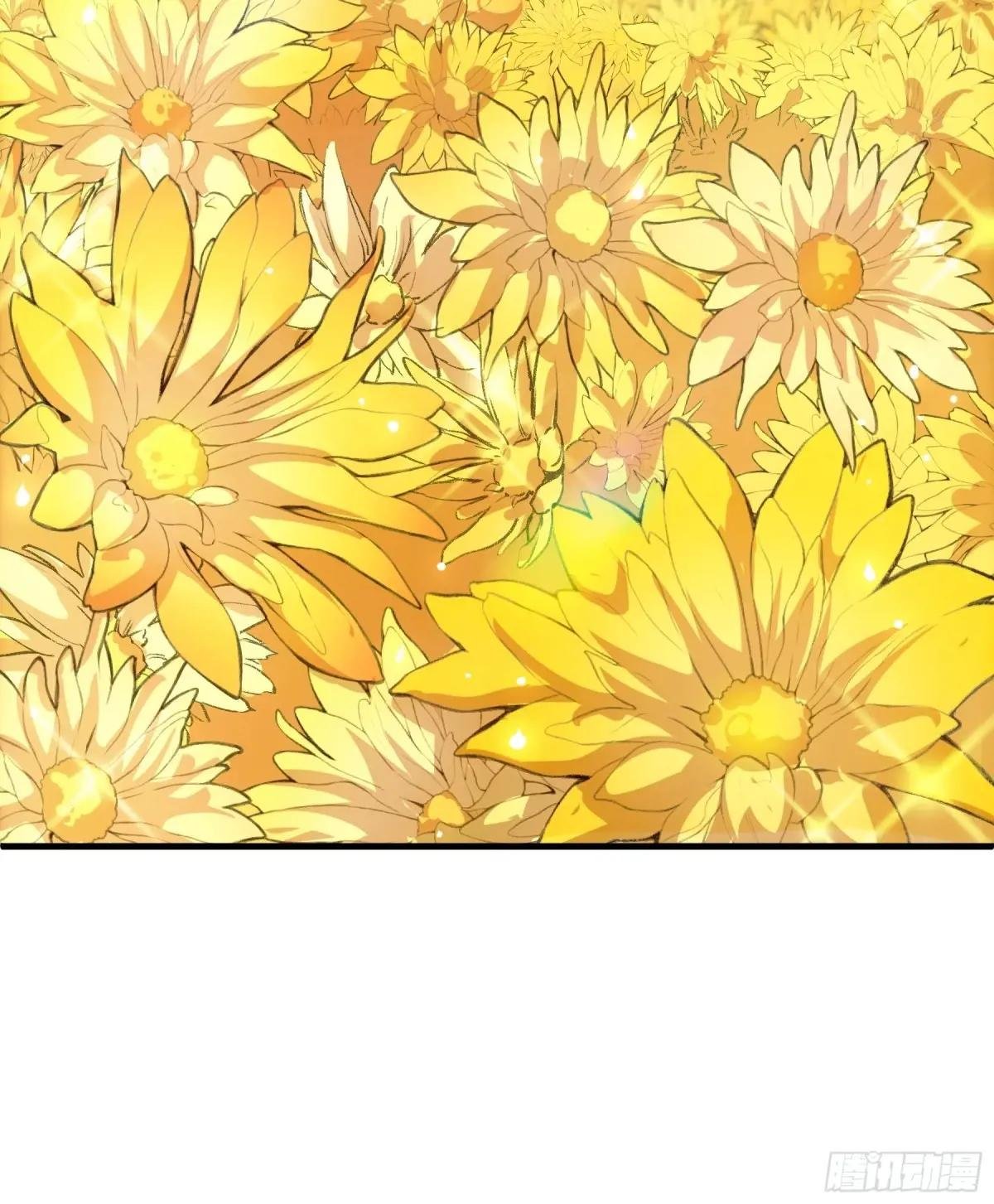 101.赏菊
