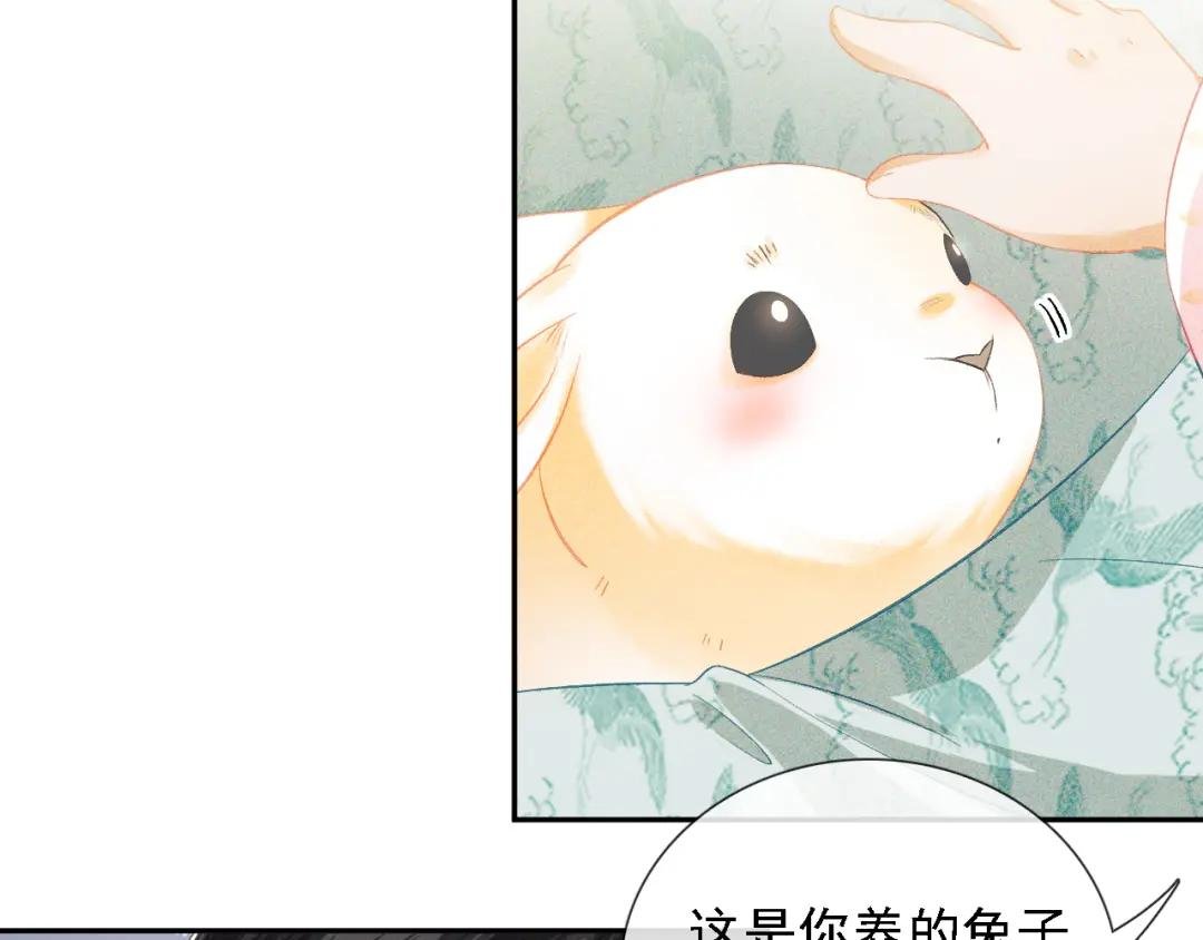 第9话 可爱的兔兔我们要保护它
