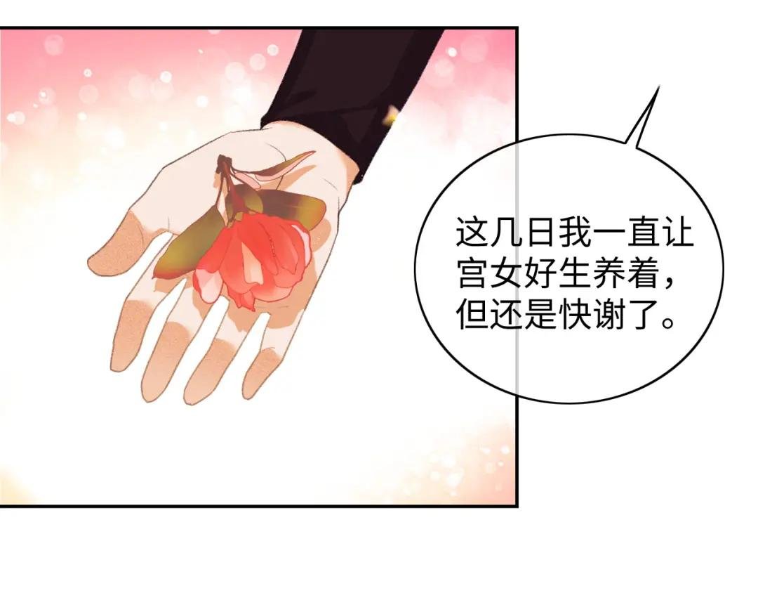 第5话 攻略皇子哥哥从我做起