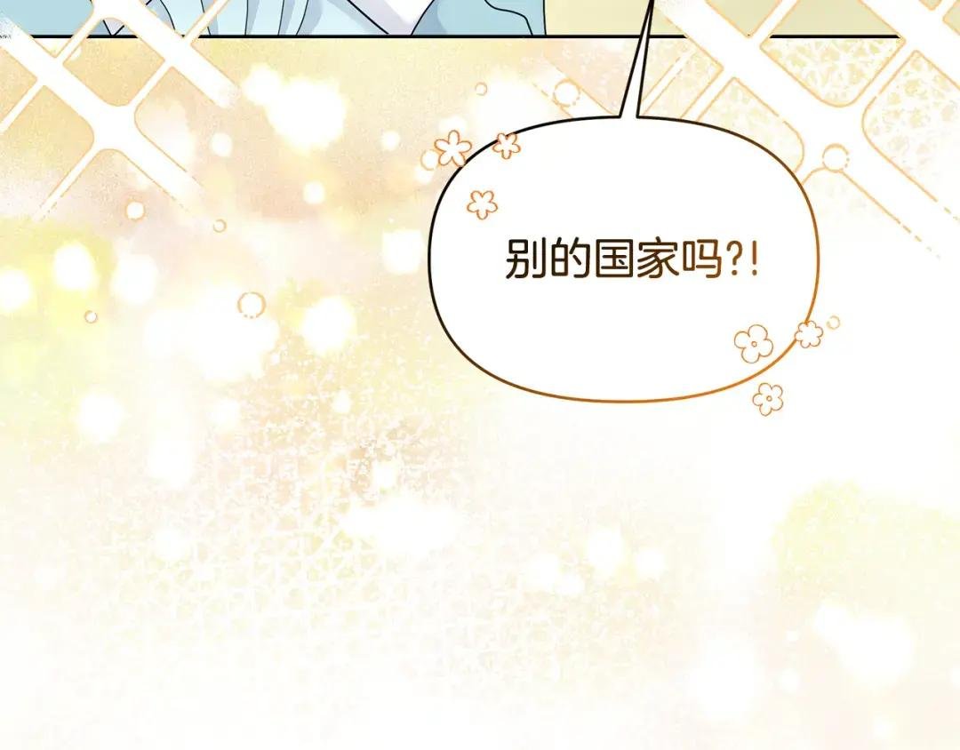 第46话 甜品要出口