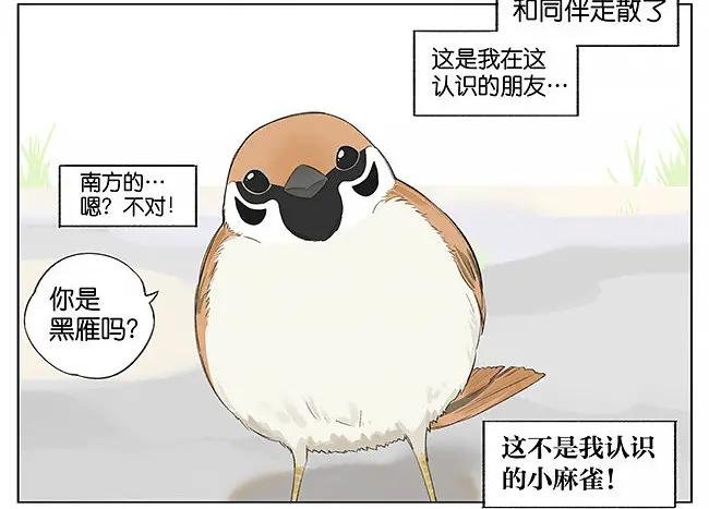 可爱。