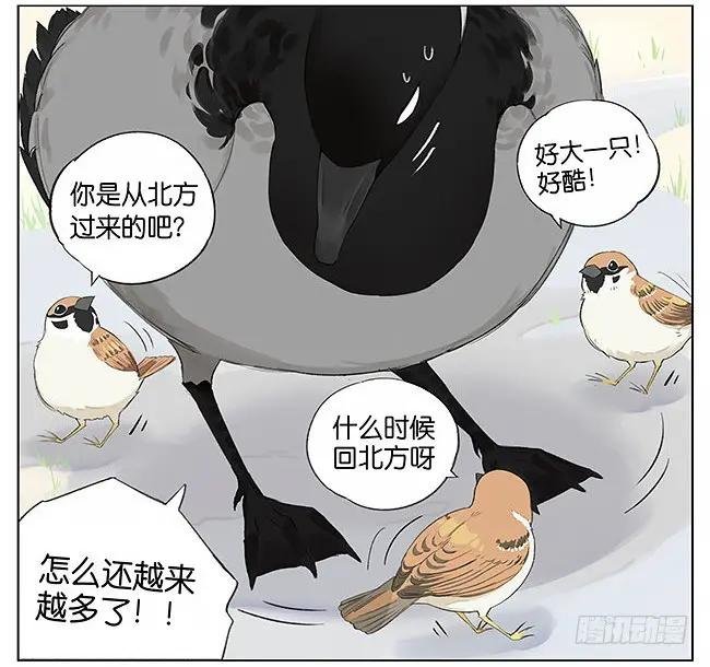 可爱。