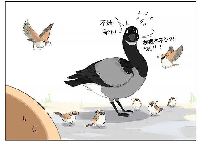 可爱。