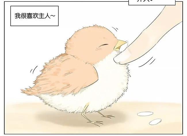 麻雀。
