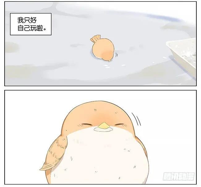 麻雀。