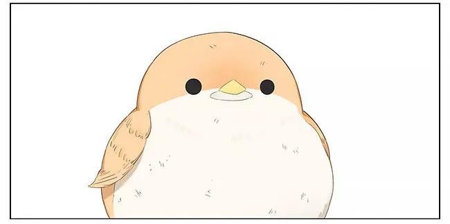 麻雀。