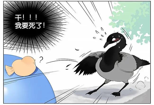 气球。