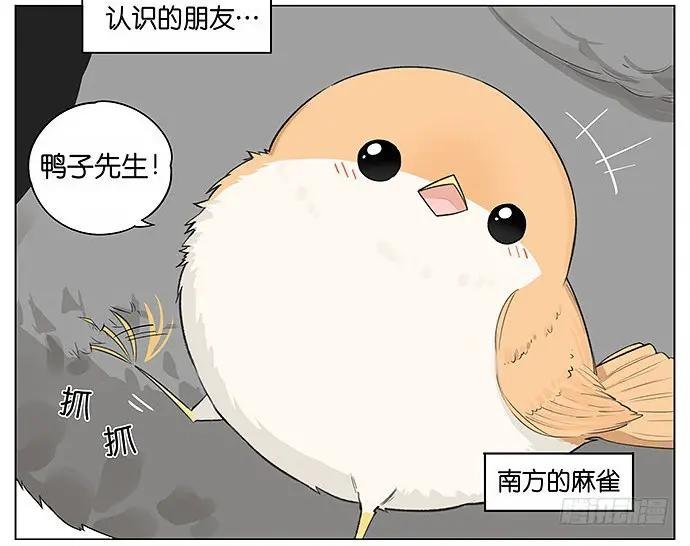 人类好可爱。