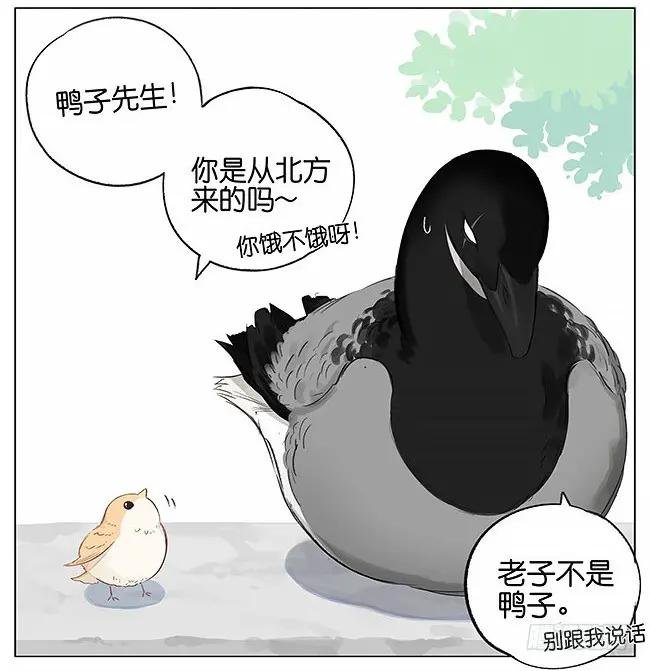 南方的鸟和北方的鸟