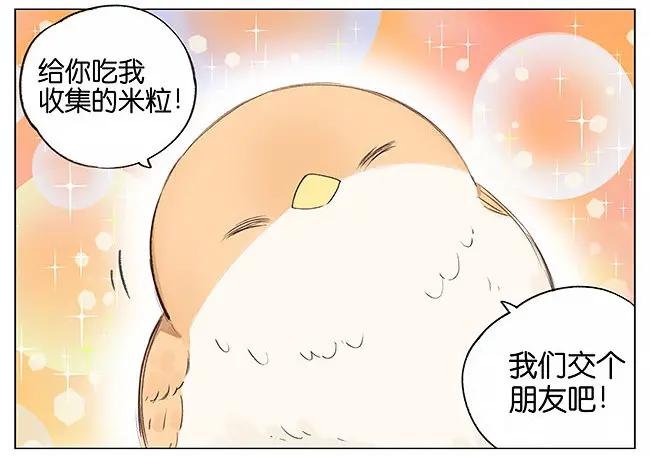 南方的鸟和北方的鸟