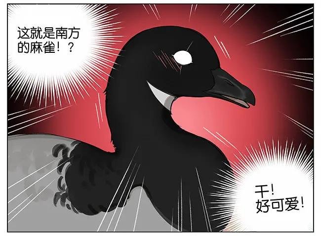 南方的鸟和北方的鸟