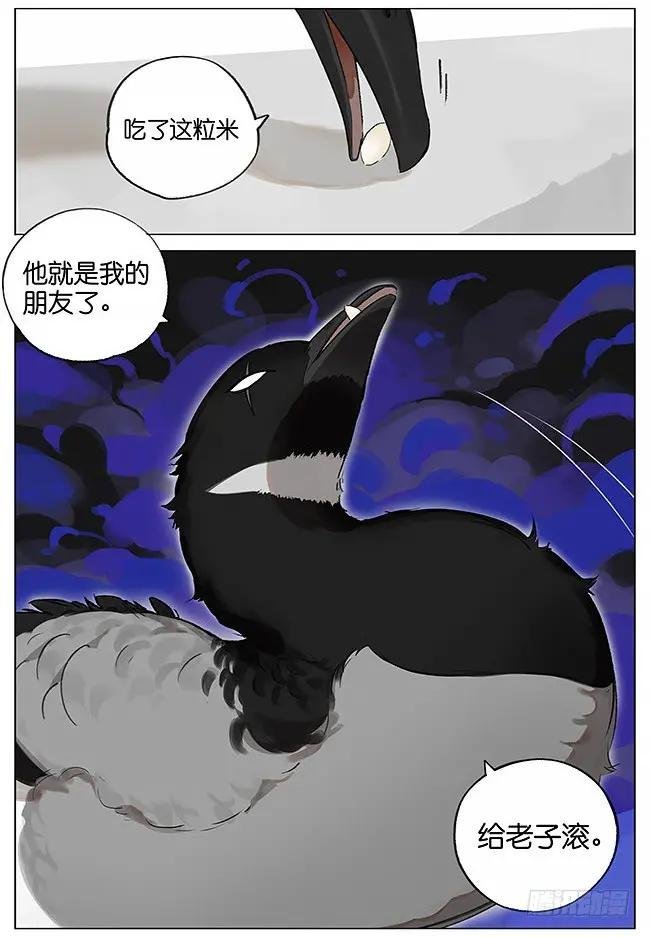 南方的鸟和北方的鸟