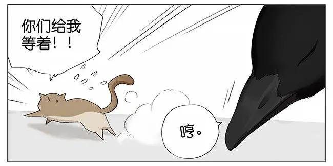 南方的鸟和北方的鸟