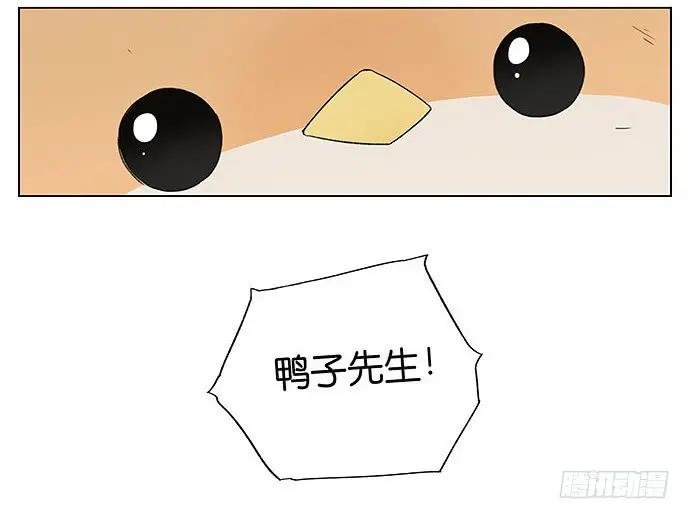 回北方。