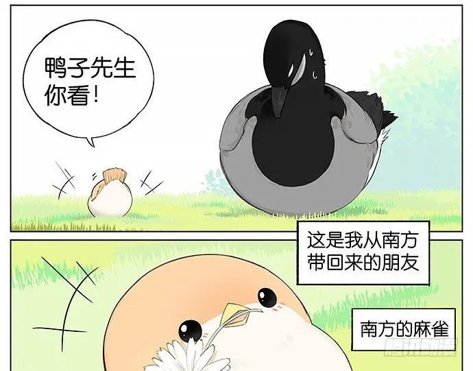 南方的麻雀和北方的麻雀。