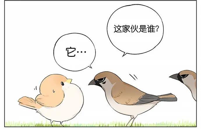 南方的麻雀和北方的麻雀。