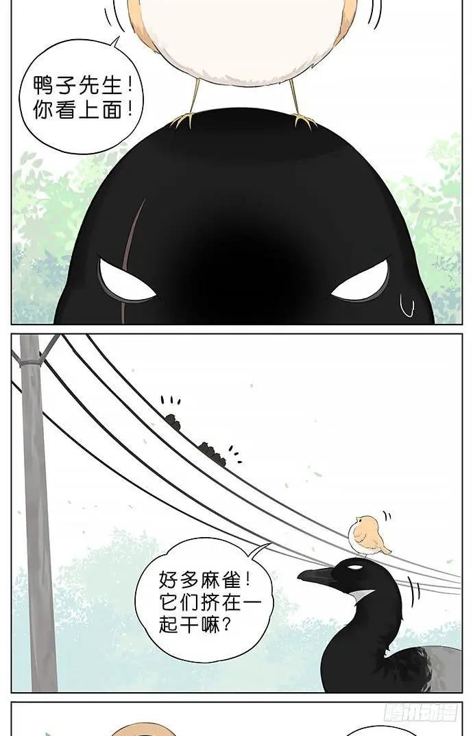 冬天相互取暖的鸟。