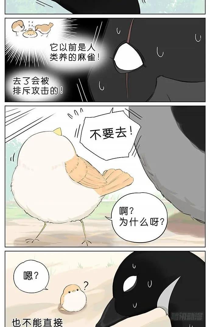 冬天相互取暖的鸟。